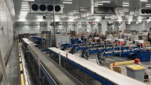 mécanisation trieur frais LS